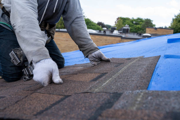 Best Roof Repair Services  in Frankl, IN