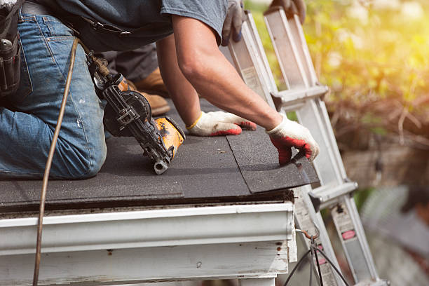 Best Roof Gutter Cleaning  in Frankl, IN