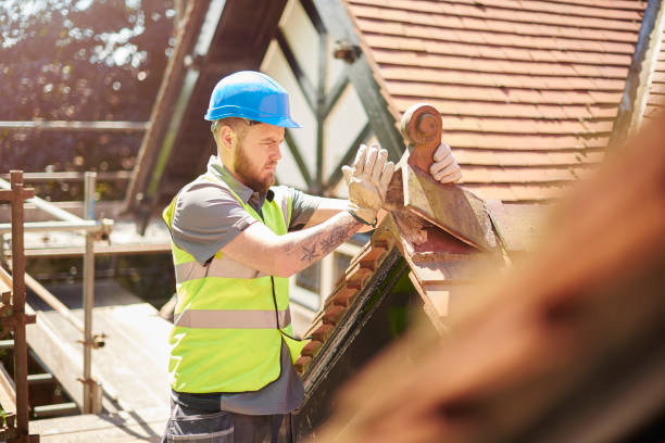 Best Storm Damage Roof Repair  in Frankl, IN