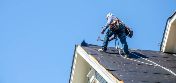 Best Roof Leak Repair  in Frankl, IN